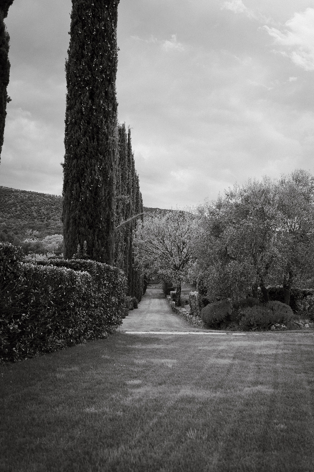 fotografo-matrimonio-piemonte