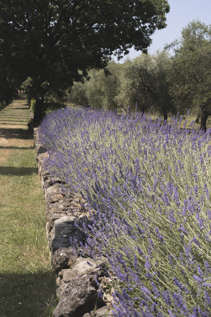 3 Rustic and Intimate Wedding Venues in Tuscany